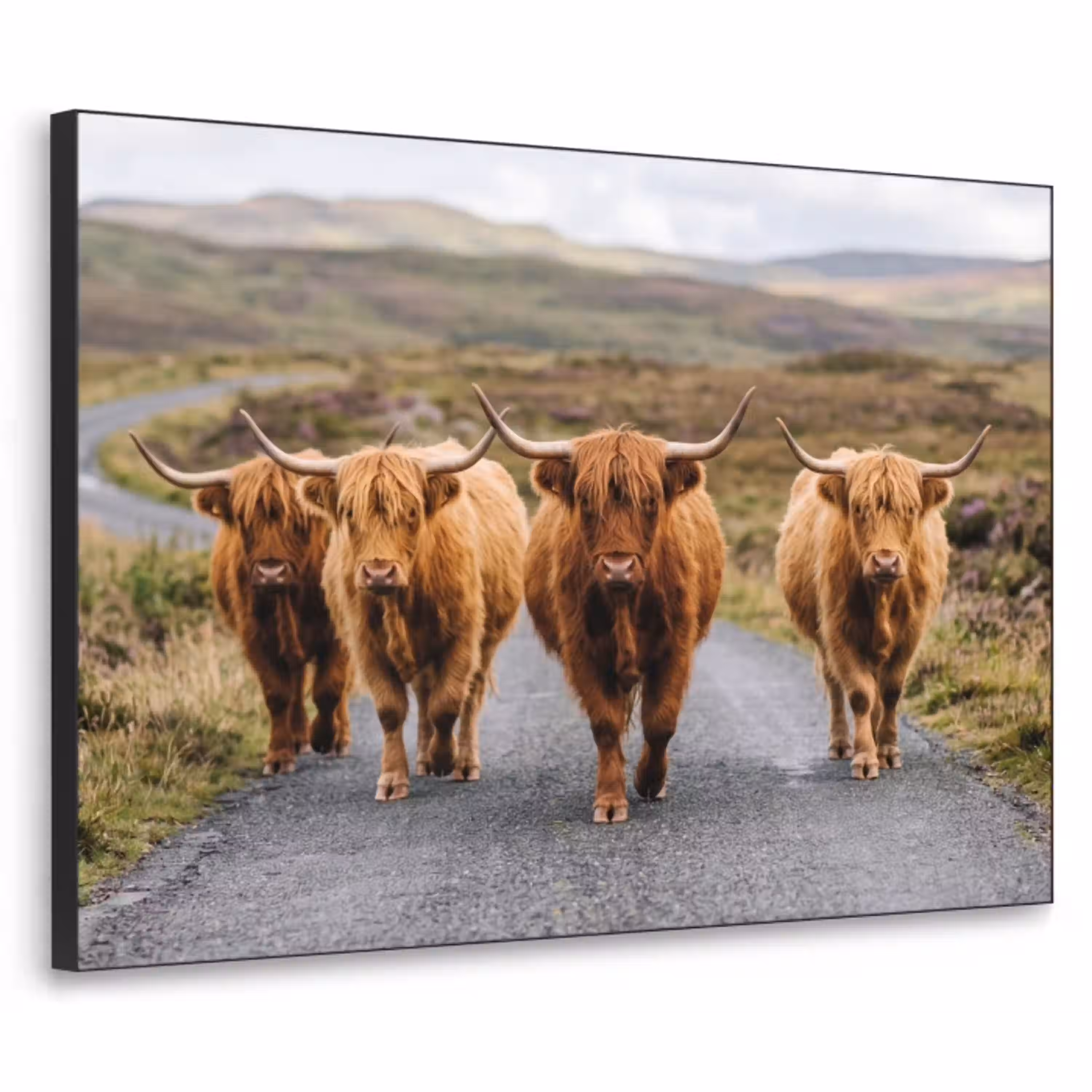Schotse Hooglanders - Weg - Landschap - Kudde Textielframe zwart klein -3d