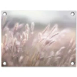 Graspluimen - Wind - Beige - Mistig tuinposter los doek klein -3d