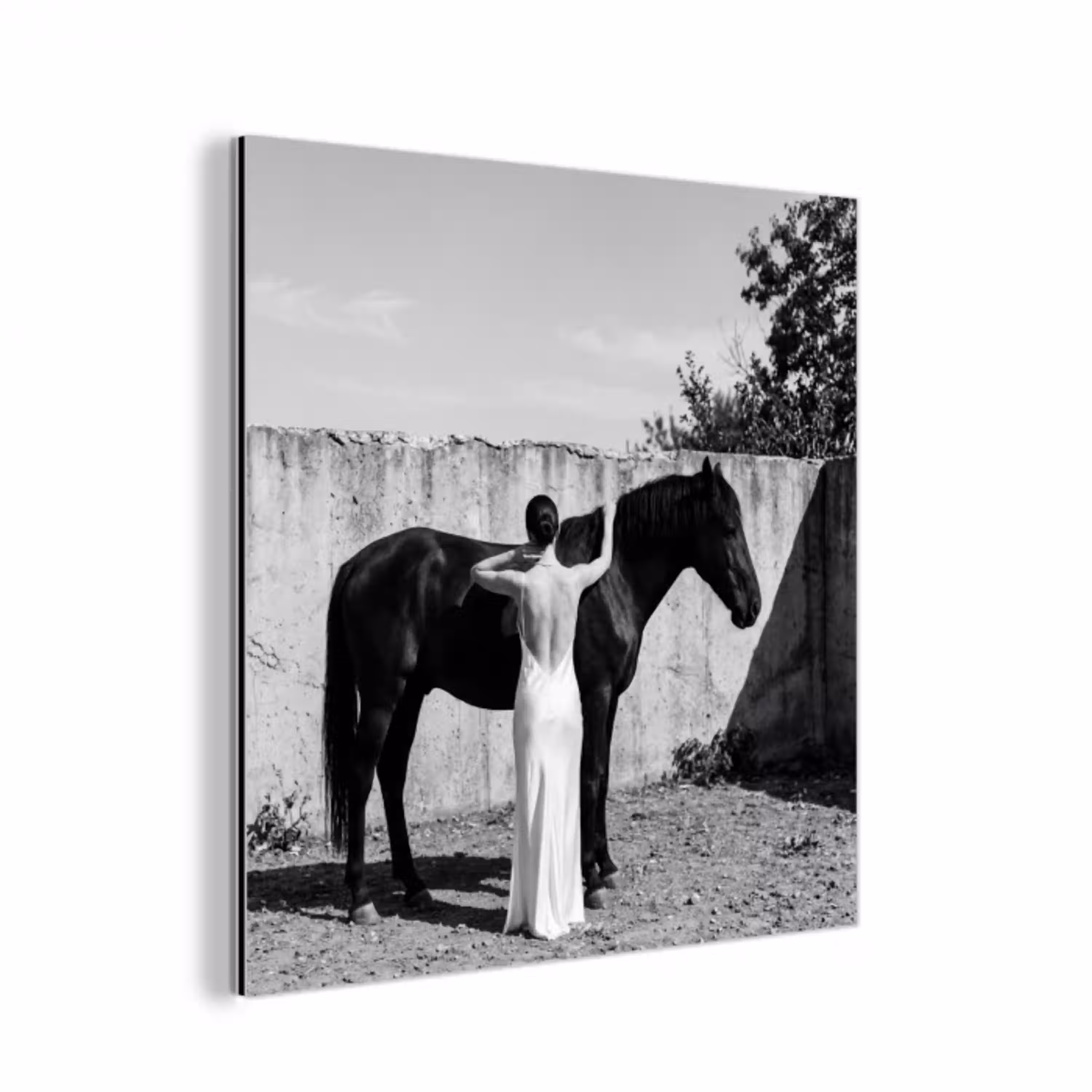 Vrouw - Paard - Artistiek aluminium wit klein -3d