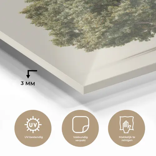 Eikenboom - Groen - Lichte achtergrond plexiglas 5mm klein -sfeer2