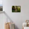 Jungle - Natuur - Trap - Bomen tuinposter los doek klein -sfeer8