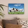 Koeien - Platteland - Weiland - Natuur - Dieren canvas 2cm klein -sfeer1