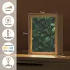 Bladeren - Ovaal - Groen - Nerven Light Box met kabel (Tafellamp) klein -USP_NL