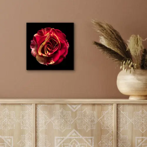 Bloem - Roos - Rood - Zwart aluminium wit klein -sfeer4