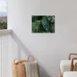Planten - Jungle - Bladeren - Tropisch tuinposter los doek klein -sfeer8