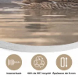 Eenden - Water - Mist - Natuur Akoestische PET Vilt - Rond klein -closeup_FR