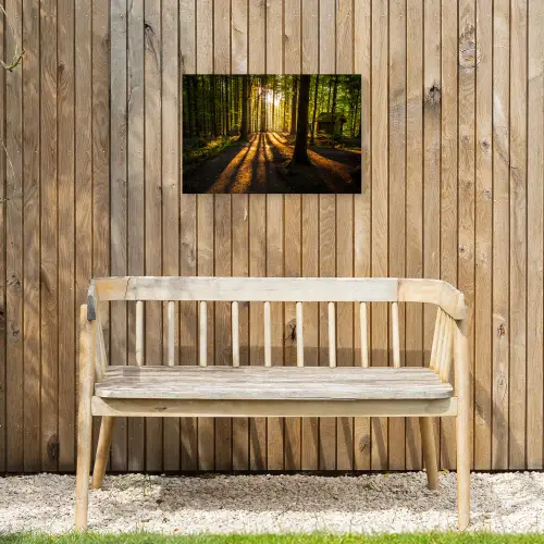 Zon - Bomen - Bos - Landschap - Natuur Tuinposter op houten frame 2 cm dik klein -sfeer4
