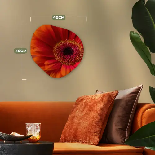 Oranje - Gerbera - Intens Wandcirkel Organisch Forex 3mm klein -sfeer3