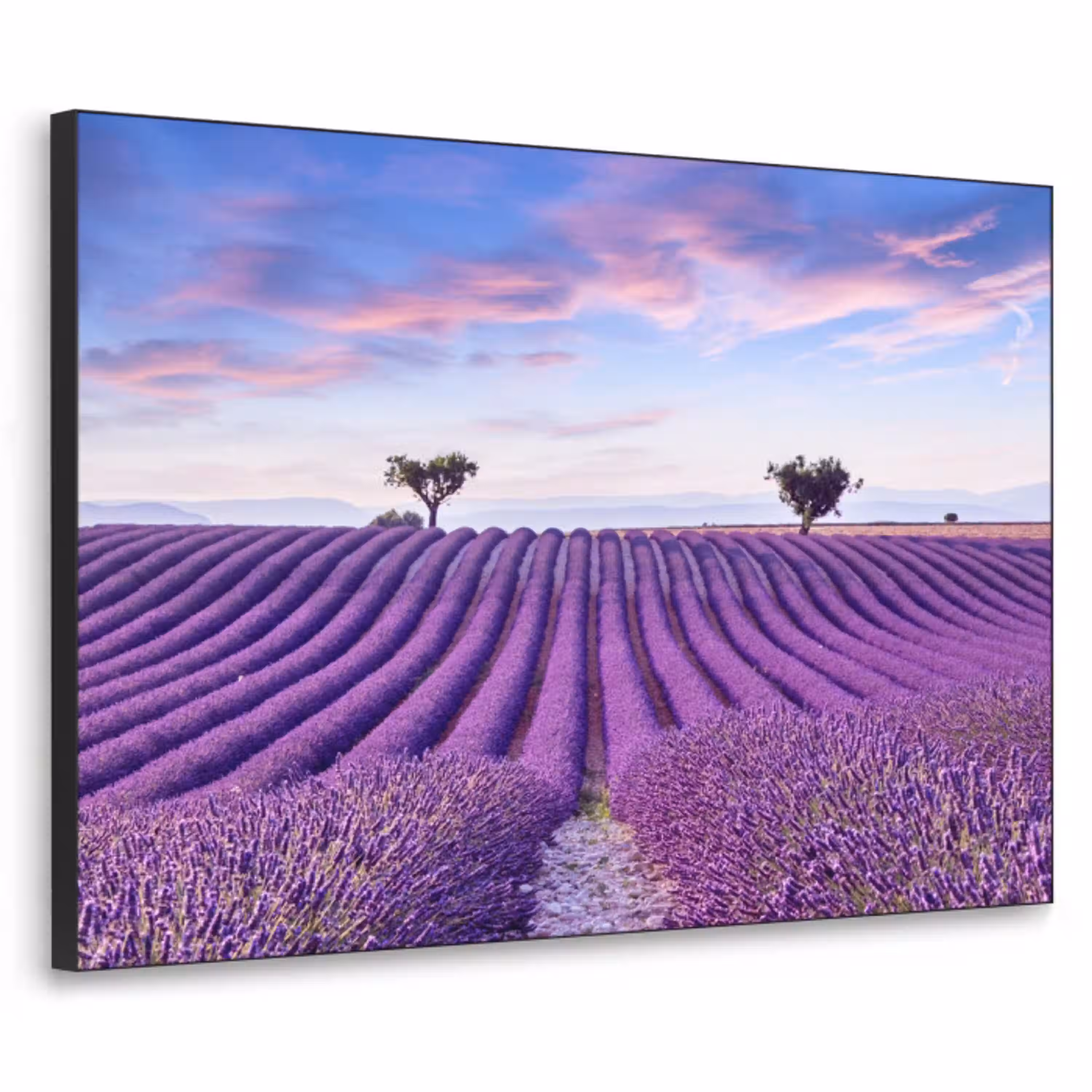 Lavendel - Natuur - Paars - Bomen - Bloemen Textielframe zwart klein -3d