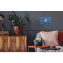 Zeemeeuw - Oceaan - Blauw Muursticker klein -kamerbank