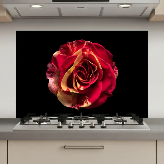 Bloem - Roos - Rood - Zwart keuken achterwand spatscherm klein -3d_website