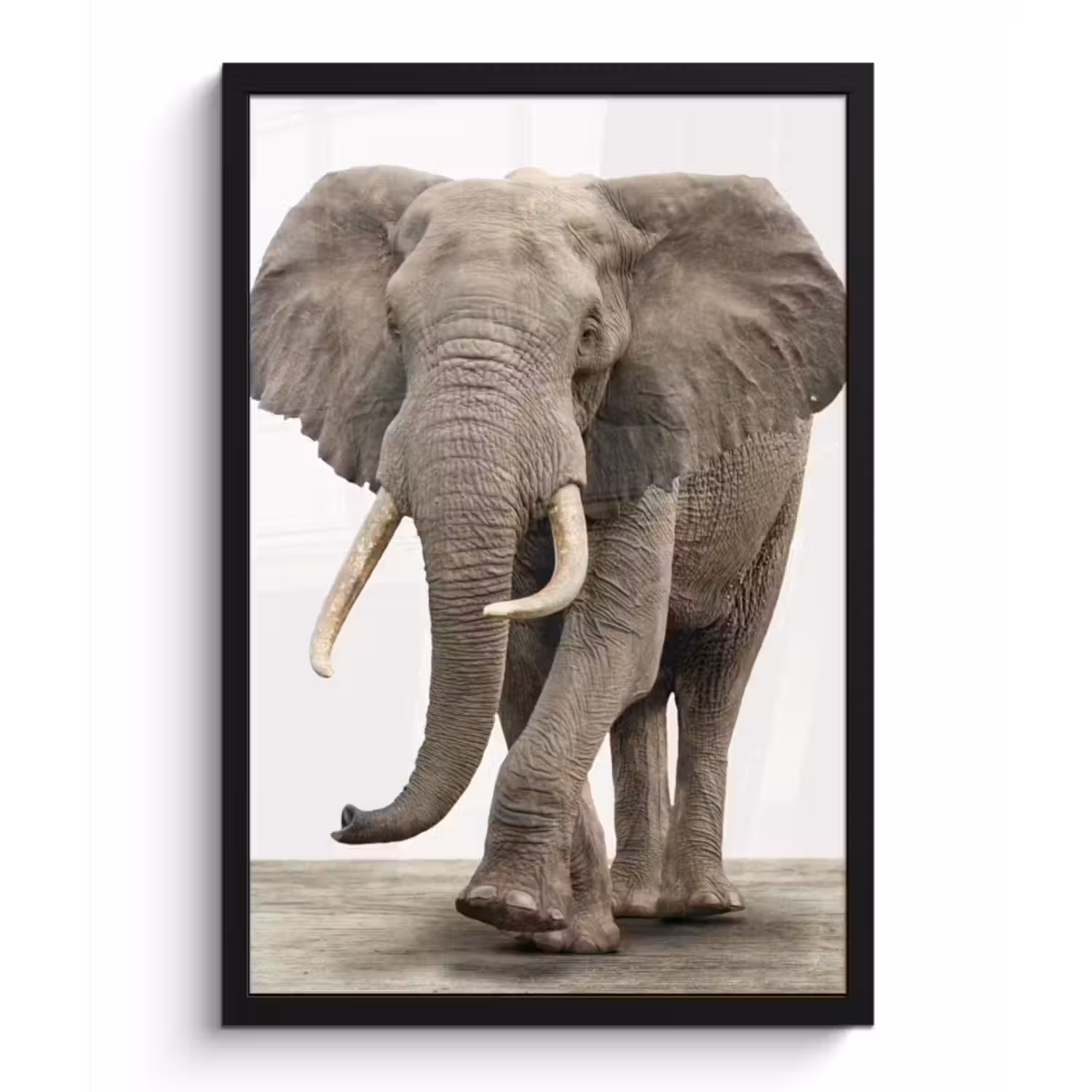 Poster met lijst - Olifant - Kinderen - Jongens - Dieren - Meisjes