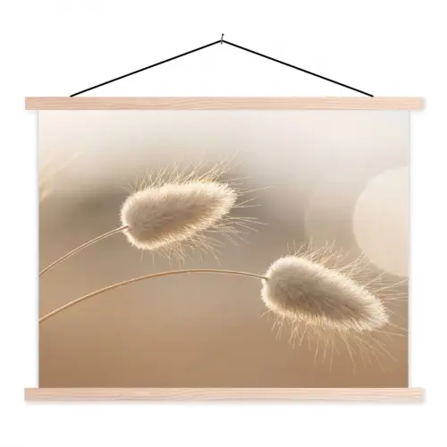 Hazestaartgras - Graanharen - Zonlicht textielposter latten blank klein -3d
