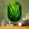 Grassprieten - Lichtinval - Groen Wandcirkel Ovaal Glas middel -sfeer2