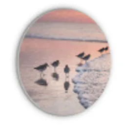 Meeuwen - Strand - Zee - Roze Akoestische PET Vilt - Rond klein -3d
