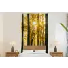 Bos - Zon - Bomen - gras - Landschap fotobehang vinyl groot -bed