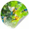 IJsvogels vliegen in het water Wandcirkel behangsticker klein -3d