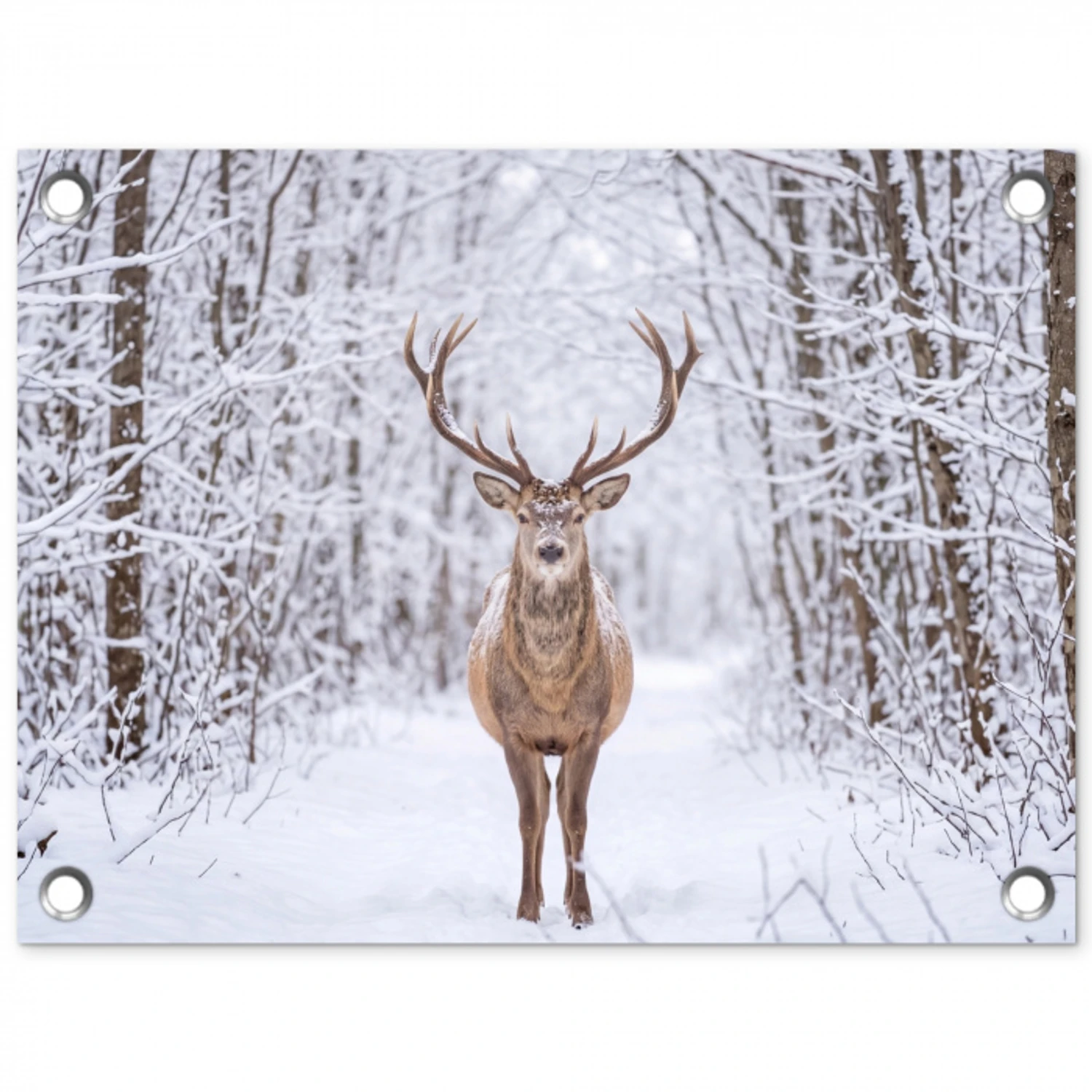 Hert - Winter - Bos - Natuur - Wit tuinposter los doek klein -3d