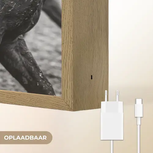 Paard - Sport - Zwart - Wit Light Box met batterij (Wandlamp) middel -USP_websiteoplaadbaarNL