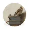 Het puttertje - Carel Fabritius Wandcirkel kunststof plaat 5mm dik klein -3d