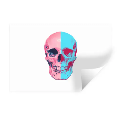 Schedel - Grafisch - Roze - Verdeeld Muursticker klein -3d