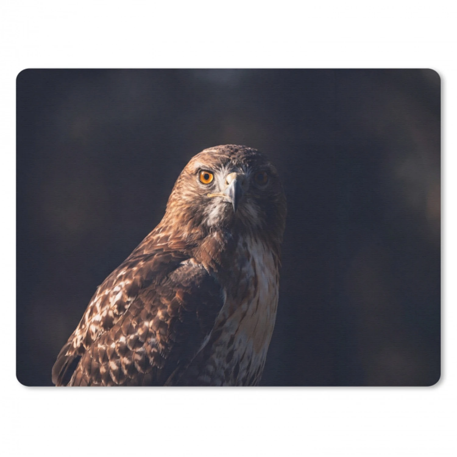 Roofvogel - Buizerd - Bruin muismat rubber klein -3d