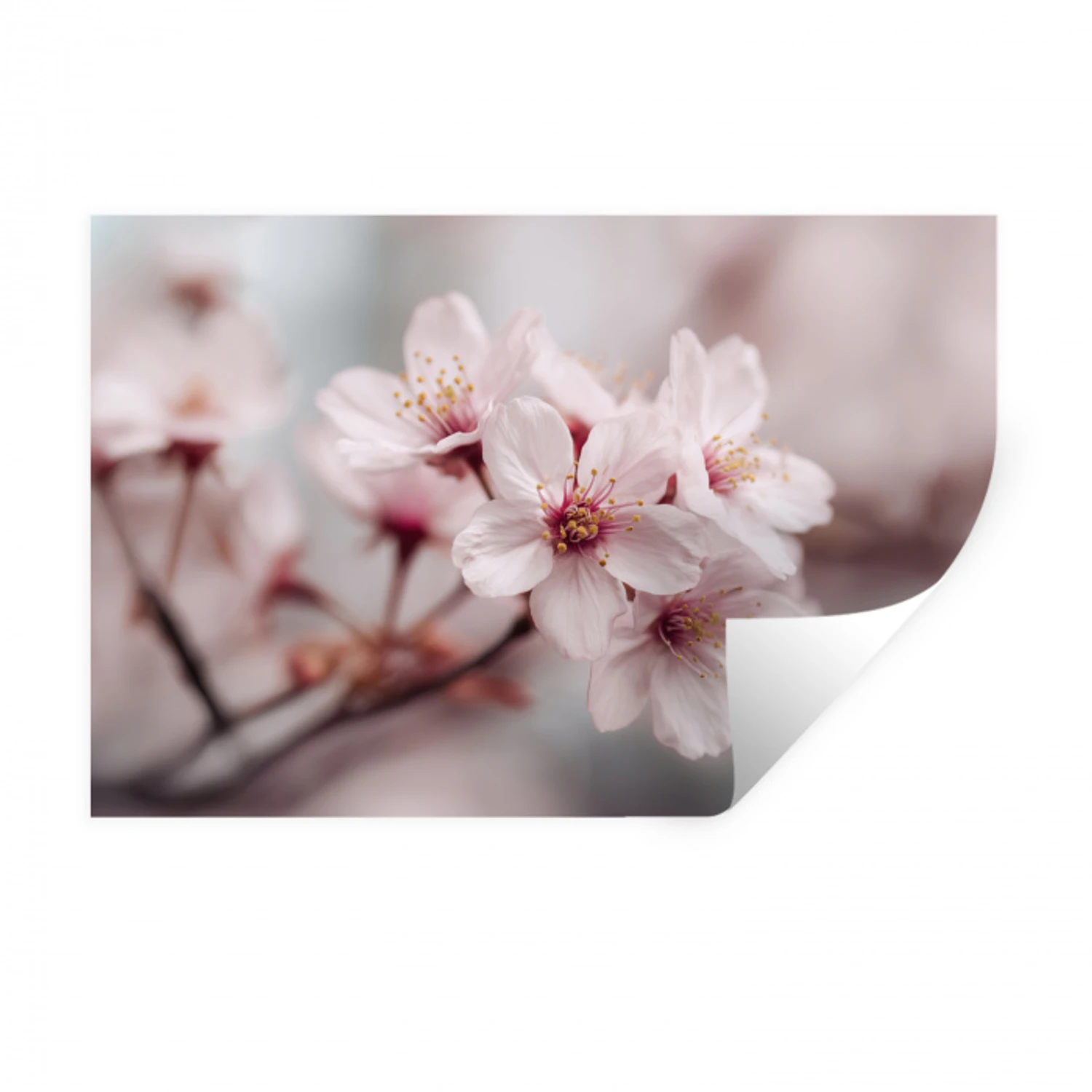 Bloesems - Meeldraden - Geel - Wazig Muursticker klein -3d