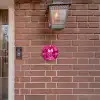 Roze rozen - Modern Naambord Rond klein -sfeer7-rond-XS