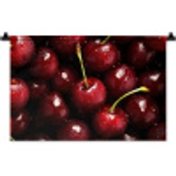 Rood - Fruit - Kersen Wandkleed katoen klein -zz3d