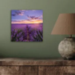 Lavendel - Veld - Natuur - Paars aluminium wit klein -sfeer2