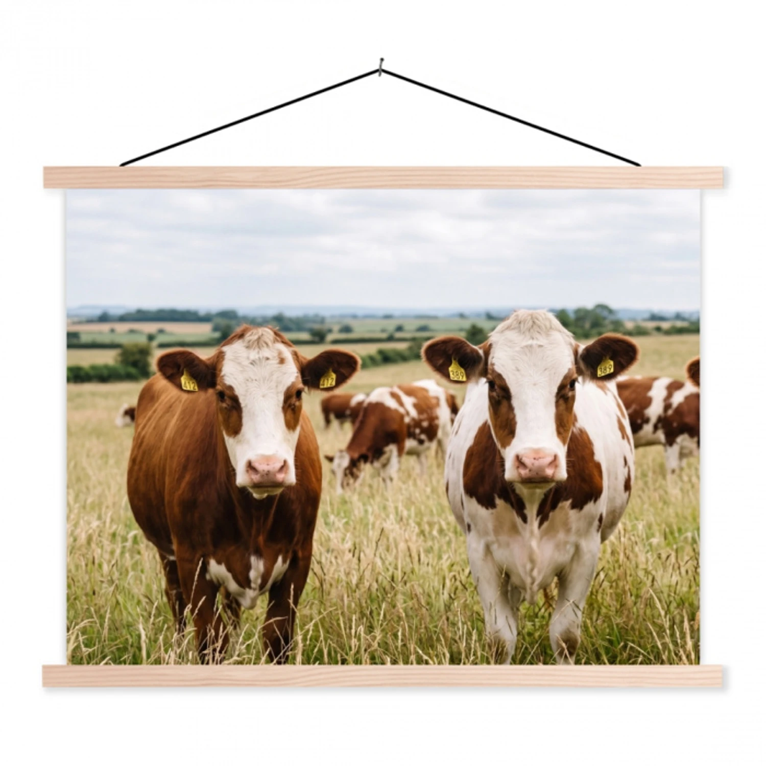 Koeien - Portret - Weide - Boerderij - Nieuwsgierig textielposter latten blank klein -3d