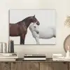 Paard - Modern - Balans PET vilt klein -sfeer1