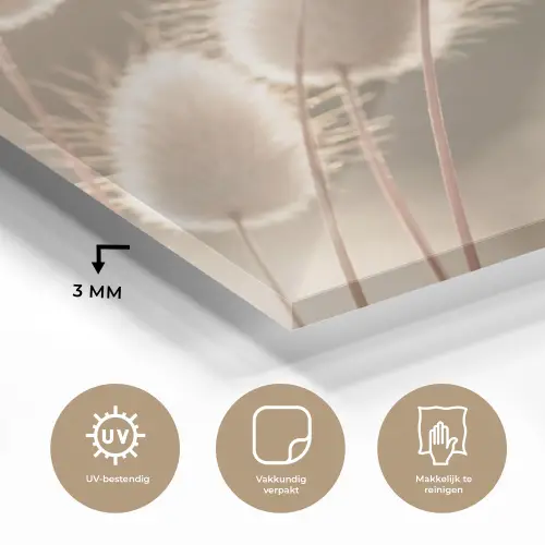 Hazestaartgras - Wit - Zonlicht plexiglas 5mm klein -sfeer2