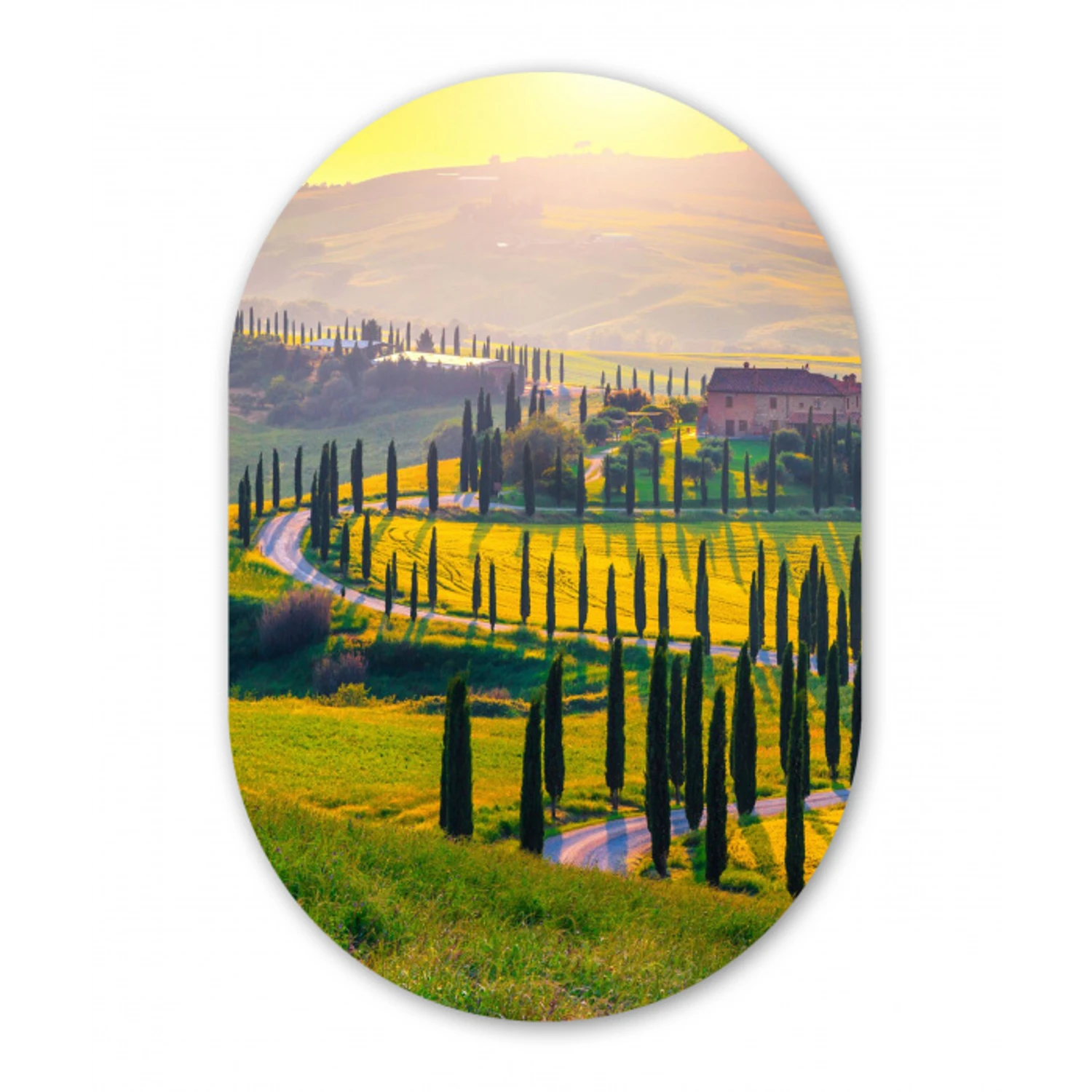 Gras - Zon - Heuvel - Landschap Wandcirkel Ovaal Forex klein -3d