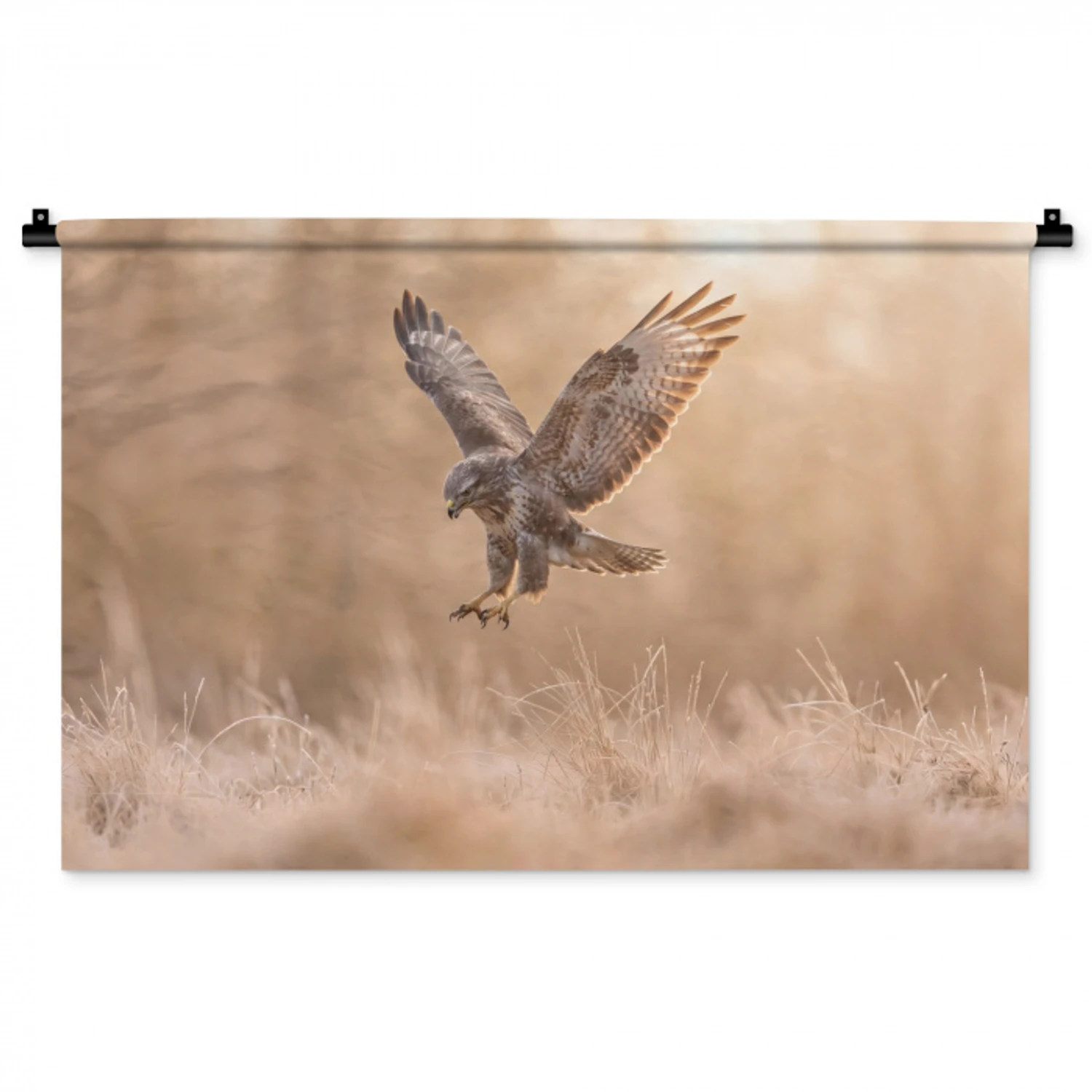Buizerd - Roofvogel - Natuur - Bruin Wandkleed katoen middel -zz3d
