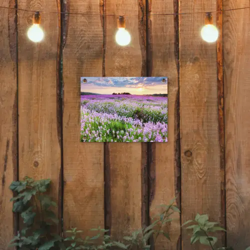 Lavendel - Bloemen - Zonsondergang - Paars - Weide tuinposter los doek klein -sfeer1