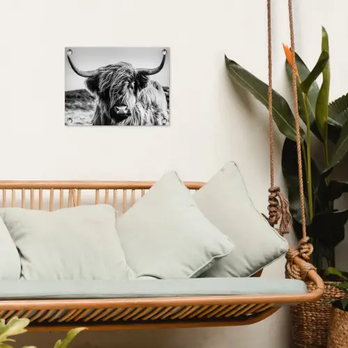 Koe - Schotse hooglander - Zwart - Wit - Dier - Natuur - Wild tuinposter los doek klein -sfeer7