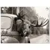 Eland - Auto - Gewei - Zwart - Wit tuinposter los doek klein -3d