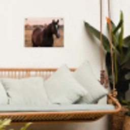 Paard - Zonsondergang - Bruin tuinposter los doek klein -sfeer7