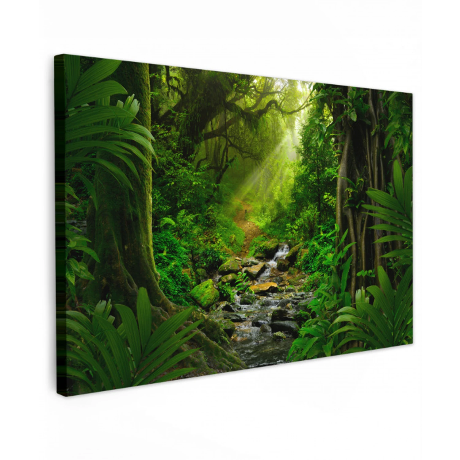 Jungle - Water - Bladeren - Zon - Natuur Tuinposter op houten frame 2 cm dik klein -3d