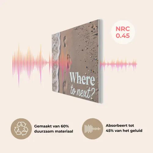 Where to next - Strand - Voetstappen PET vilt klein -USP_NL
