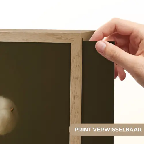 Takken - Katoen - Wit - Bollen Light Box met batterij (Wandlamp) middel -USP_websiteprintNL