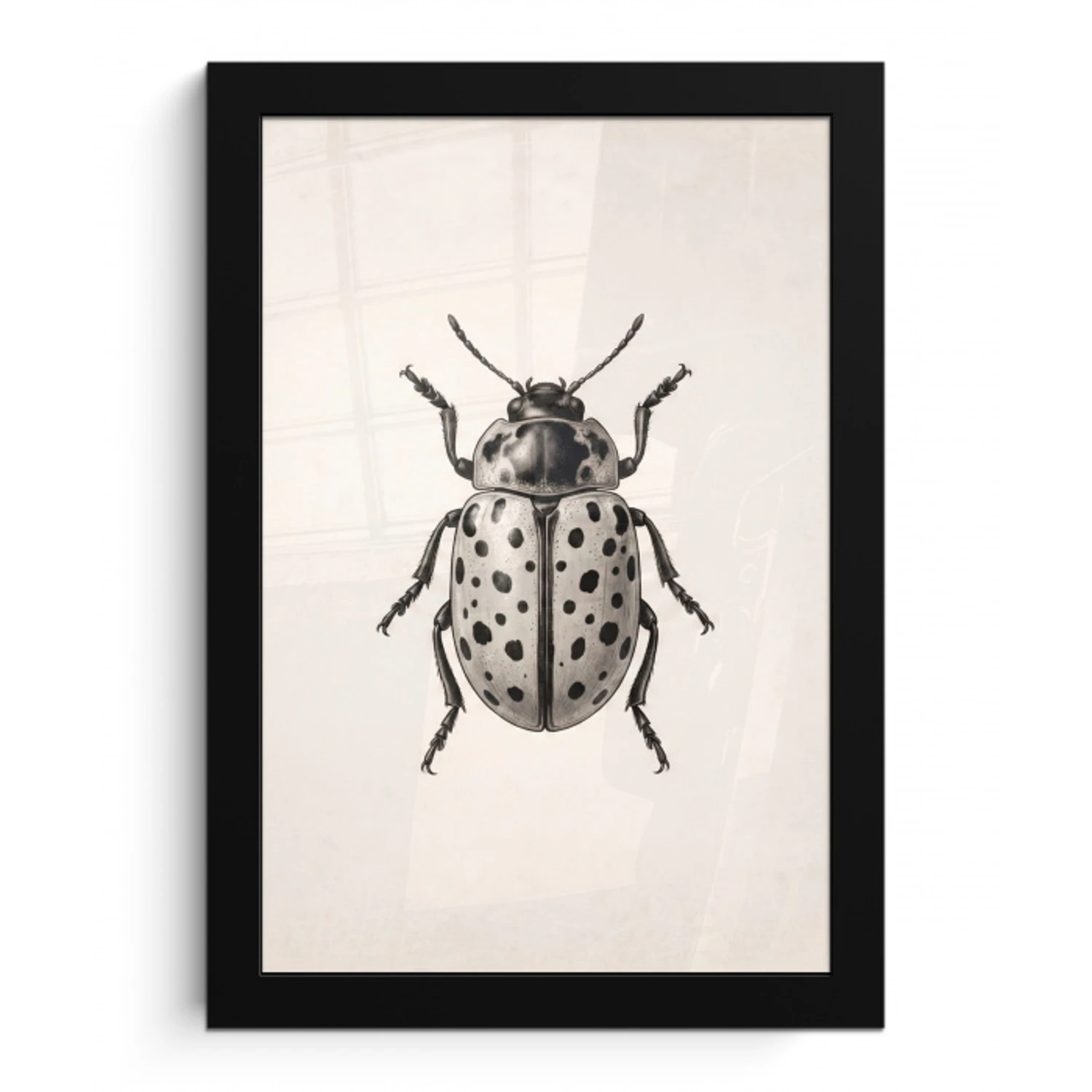 Kever - Insect - Vintage fotolijst zwart zonder passe partout klein -3d