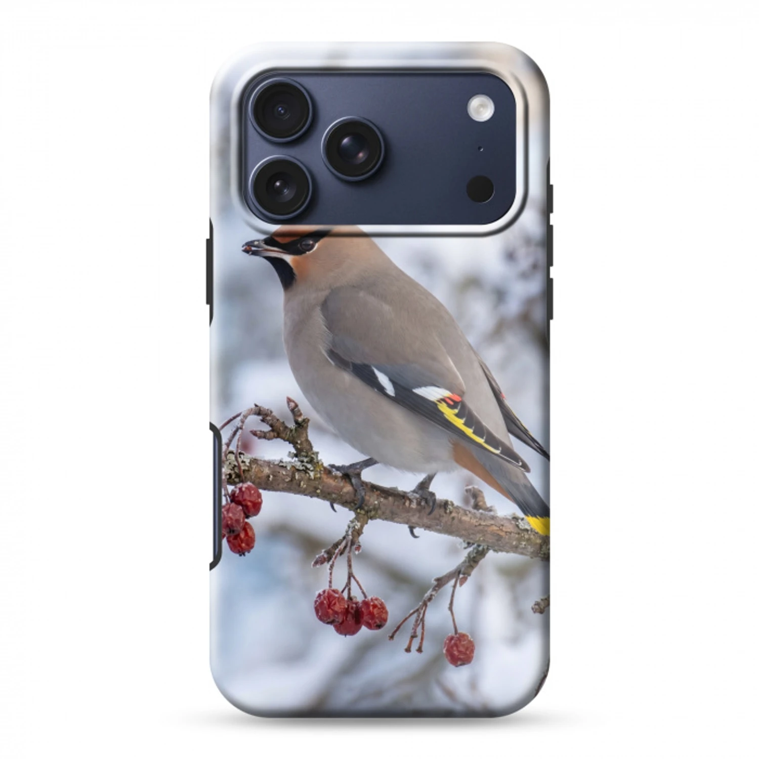 Pestvogel - Bessen - Winter - Natuur Toughcase MagSafe Apple iPhone 17 Pro Max klein -3d
