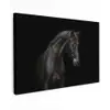 Paard - Dieren - Zwart - Portret Tuinposter op houten frame 2 cm dik klein -3d