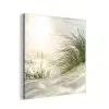 Duin - Waddeneilanden - Water aluminium wit klein -3d