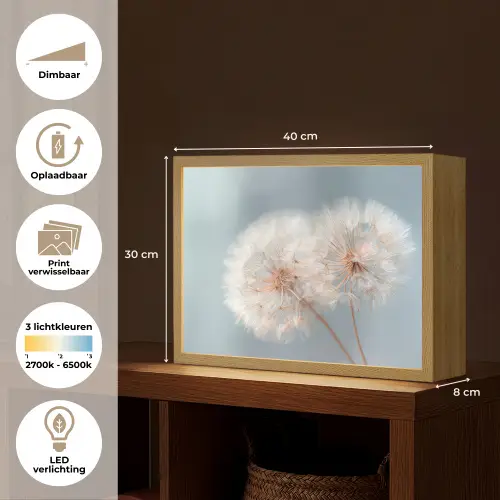 Paardenbloemen - Pluisjes - Wit Light Box met batterij (Wandlamp) middel -USP_websiteoverzichtNL