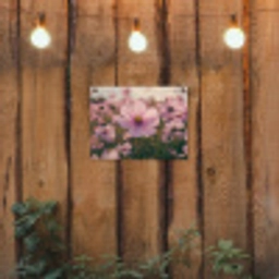 Bloemen - Paars - Wazig tuinposter los doek klein -sfeer1