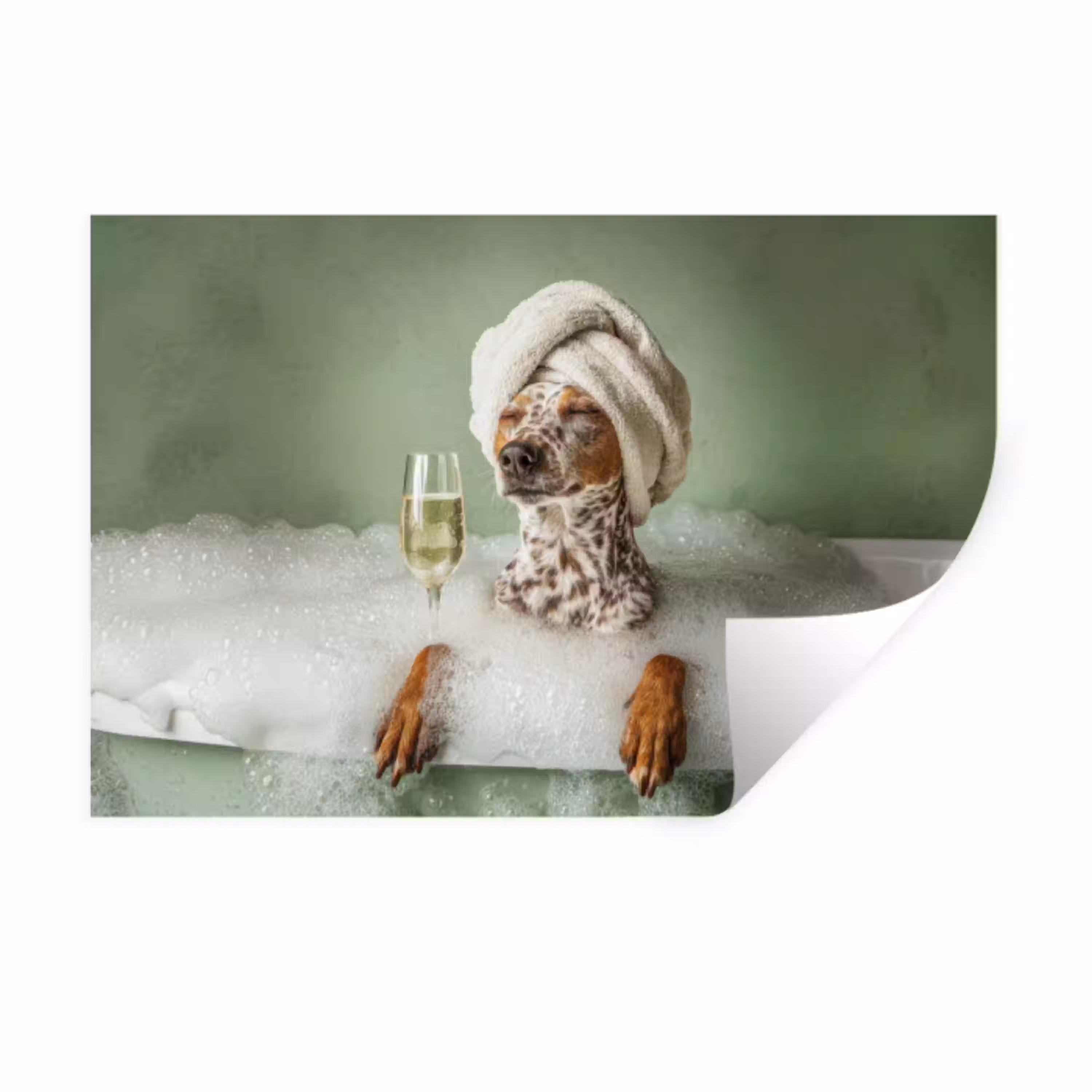 Hond - Bad - Champagne - Handdoek Muursticker klein -3d