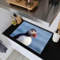 Papegaaiduiker - Portret - Natuur Inductie beschemer met haakjes klein -sfeer1